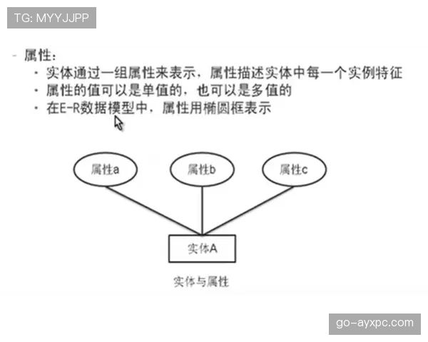 恶意犯规的判罚标准是什么?规则解析与实战判例说明